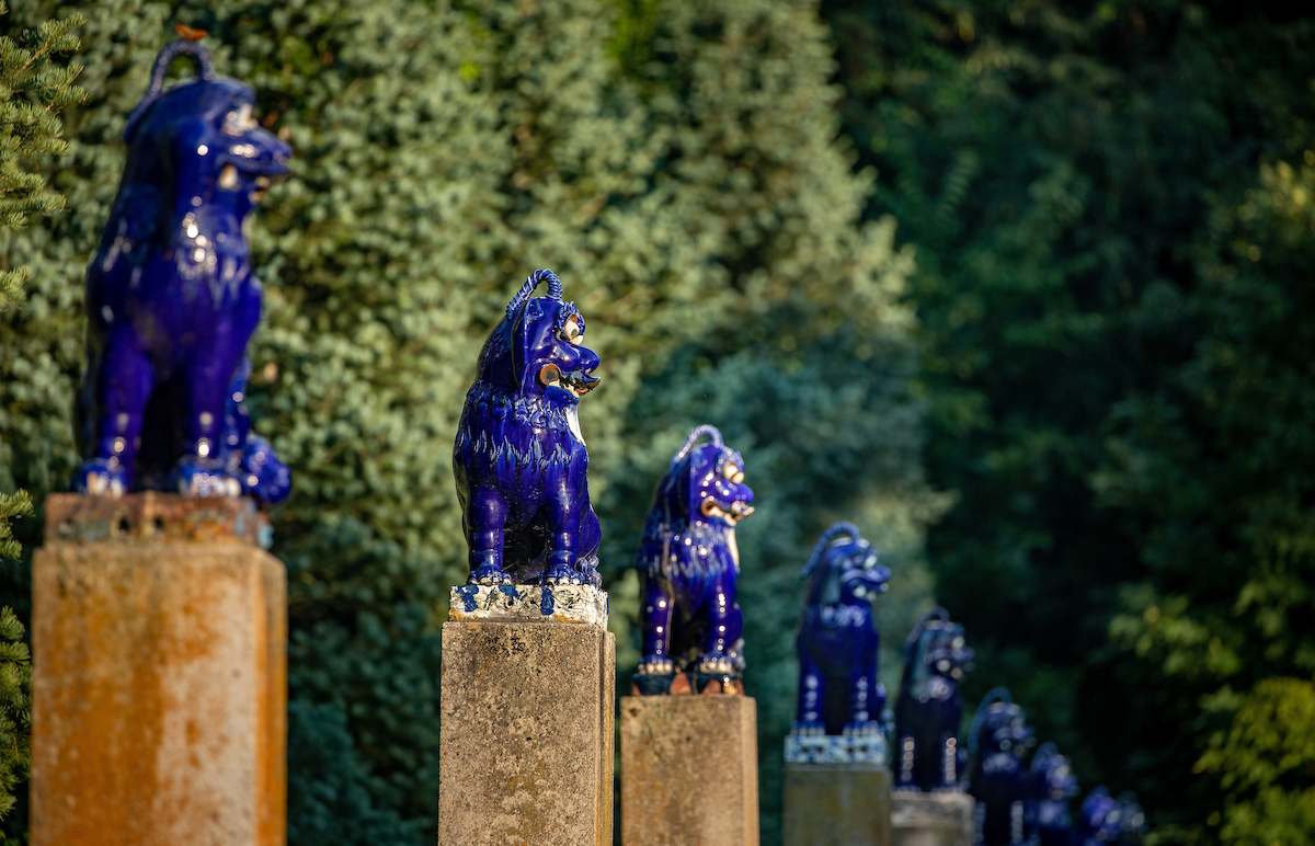 Fu dog statues at allerton